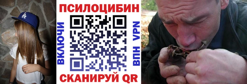 Галлюциногенные грибы Psilocybe  Ленинградская 